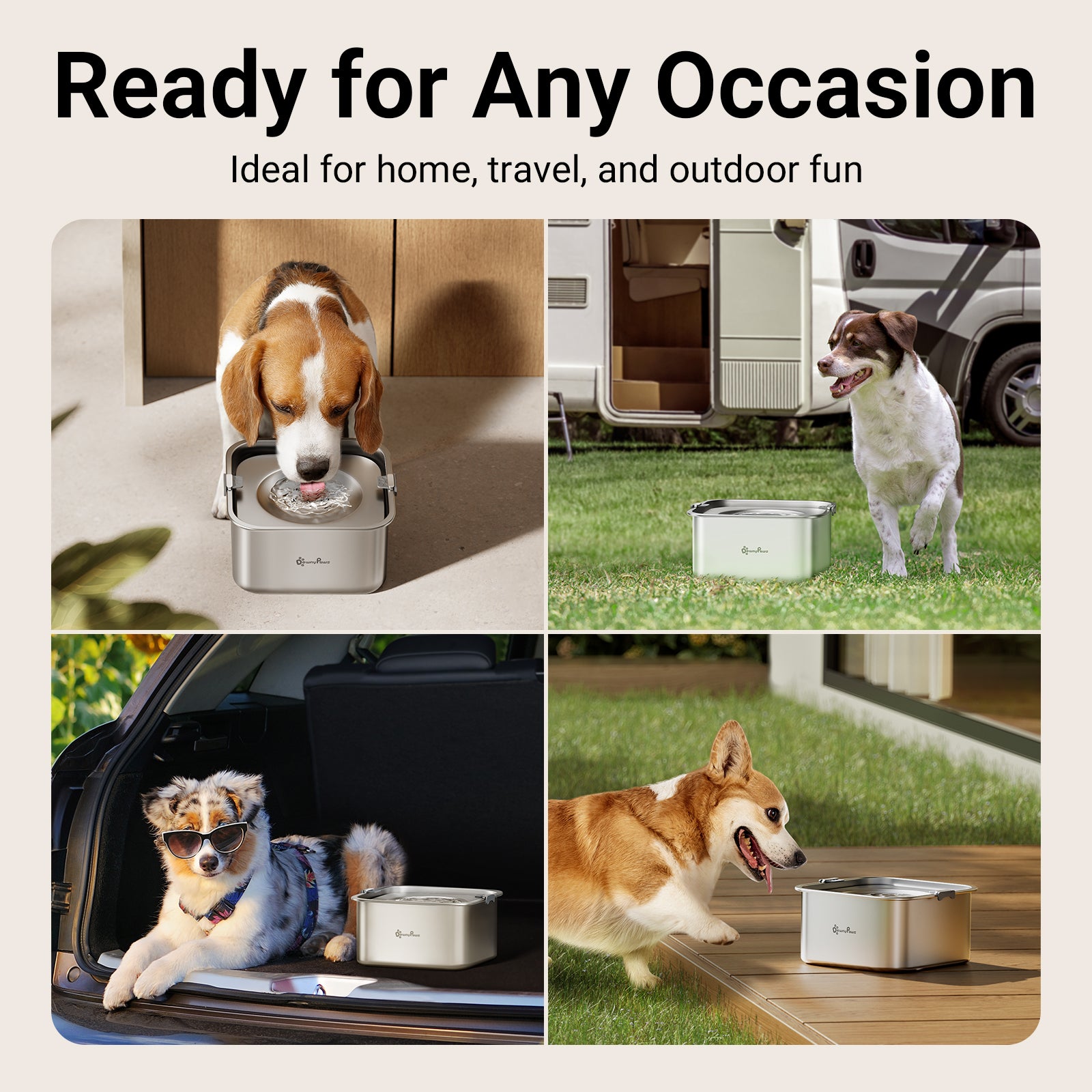 DownyPaws Dog Water Bowl No Spill
