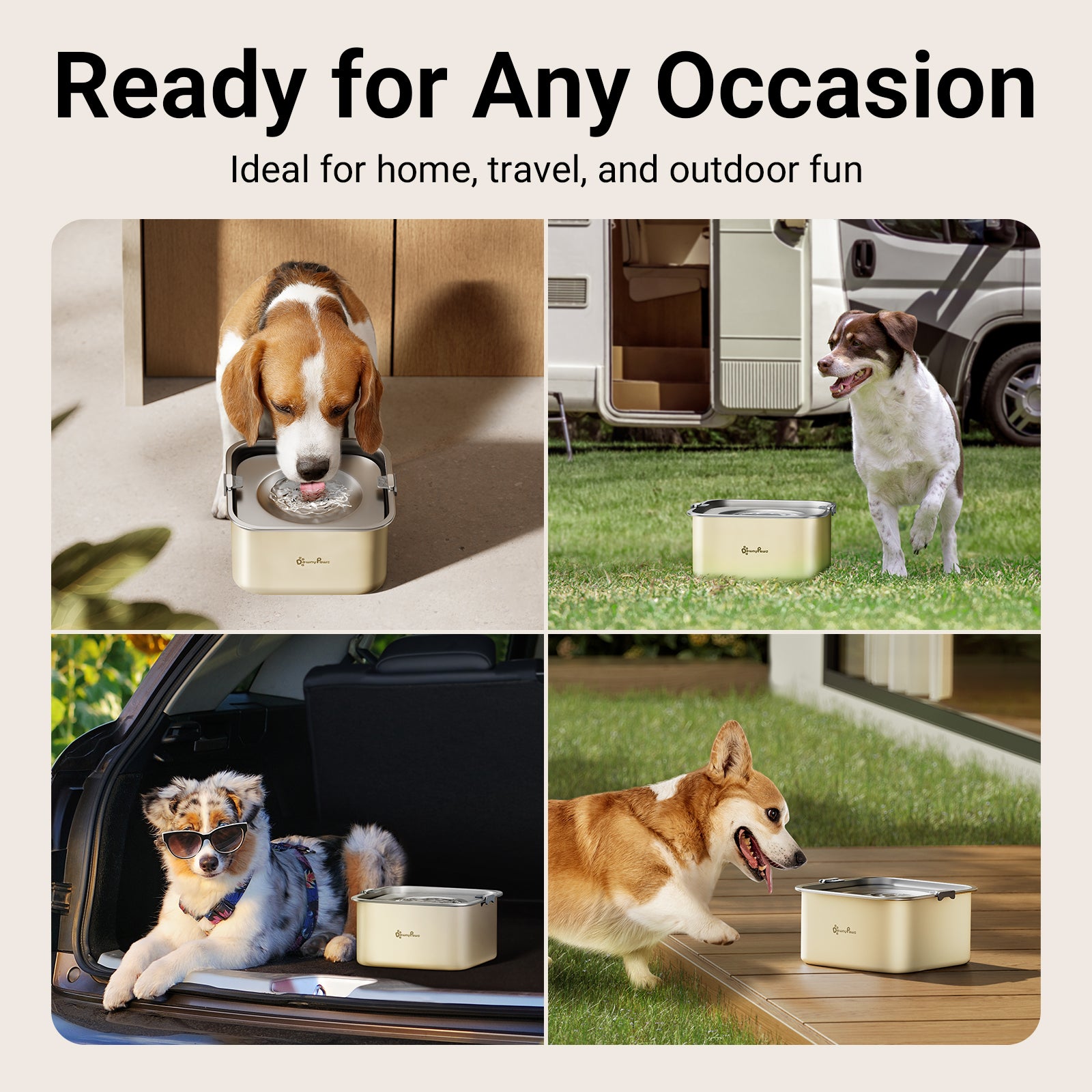 DownyPaws Dog Water Bowl No Spill