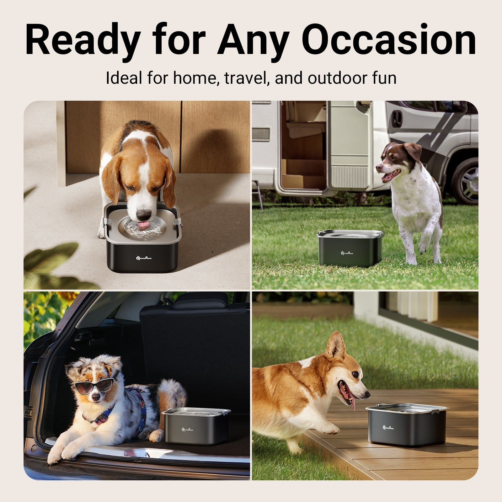 DownyPaws Dog Water Bowl No Spill